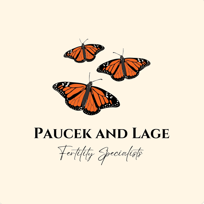 Packet and Lage Canva logo template preview.